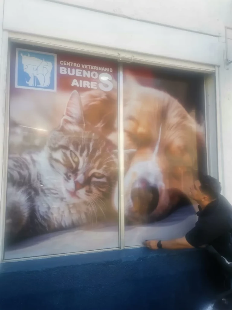 Pared-buenos-aires-centro-veterinario